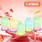 Geekbar 9000 Puffs (PACK de 5 jetables) - Grossiste Cigarette Électronique Casablanca Maroc